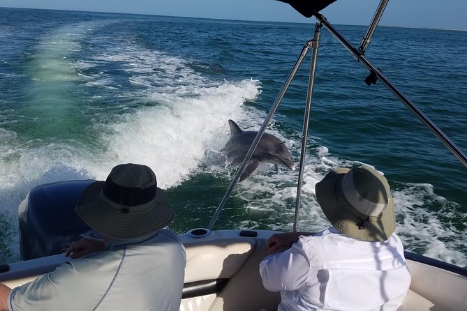 Half-Day Private Boating On Black Hurricane - Clearwater Beach - Three Rooker Island sandbar time: the coastal science moment that also feels like play