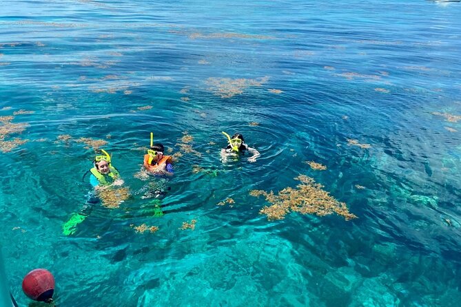 Half Day Snorkel Trip on Reefs in the Florida Keys - Why Key Largo Reefs Are Worth a Half Day Catamaran Ride