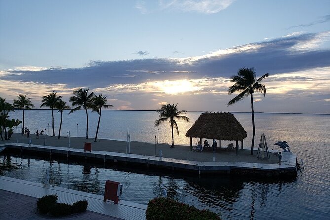 Half Day Snorkel Trip on Reefs in the Florida Keys - John Pennekamp Coral Reef State Park Plus Molasses Reef: Your Main Snorkel Time