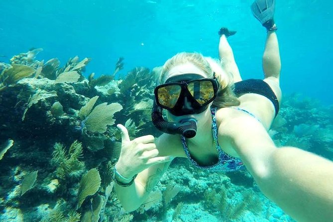 Half-Day Trip from Key West with Kayaking, Snorkeling & Sunset - What’s Included: Food, Drinks, Gear, and the Little Comfort Wins