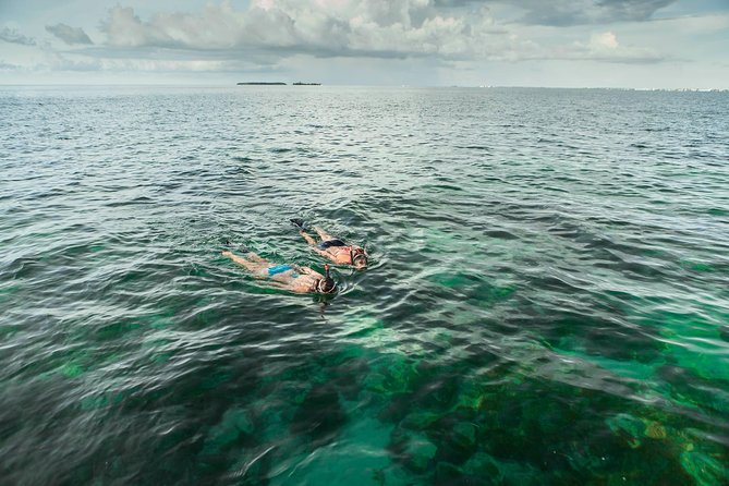 Half-Day Trip from Key West with Kayaking, Snorkeling & Sunset - Gear and Skills, What You Should Bring