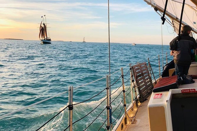 Half-Day Trip from Key West with Kayaking, Snorkeling & Sunset - Wildlife Expectations, How to Set Yourself Up for Great Seeing