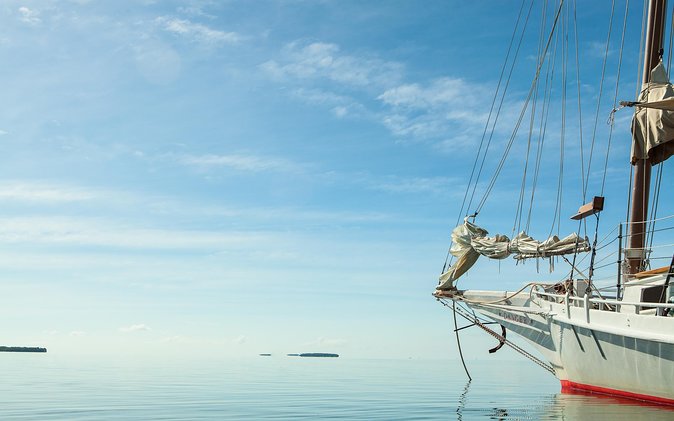 Half-Day Trip from Key West with Kayaking, Snorkeling & Sunset - Crew and Service, Why People Keep Coming Back