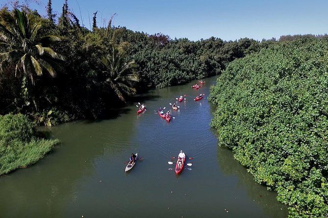 Hanalei Bay Morning Kayak and Snorkel Tour - Pacing, Fitness, and the Tandem Kayak Reality