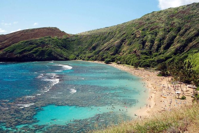 Hanauma Bay Snorkeling - Snorkeling at Hanauma Bay: Fish, Coral, and What You Should Watch For