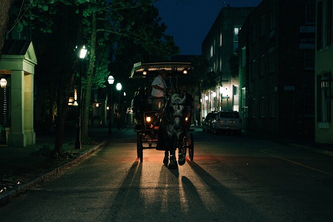 Haunted Evening Horse and Carriage Tour of Charleston - Horses, comfort, and what you should pack