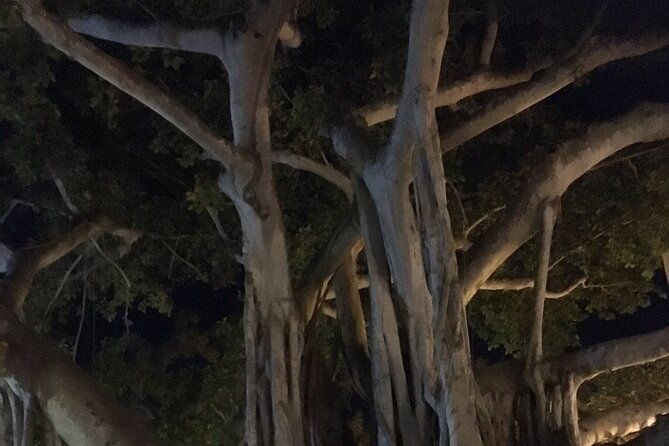 Haunted History of Fort Myers Walking Tour - What to Bring (So the 90 Minutes Feels Easy)