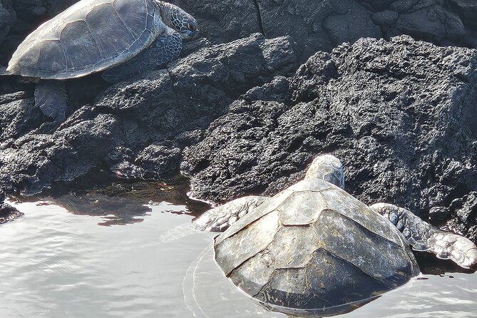 Hawaii Volcanoes, Waterfalls, Beaches & Hilo Highlights Day Tour - Big Island Candies: A Quick, Real Local Treat Stop