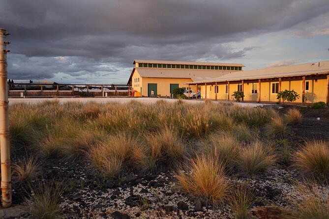 Hawaiian Salt Farm Tour in Kona - Salt tasting: how to make it fun, not confusing