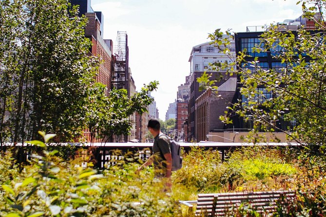 High Line and Chelsea Small Group Tour - Key things that make this High Line and Chelsea walk worth your morning