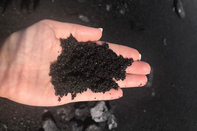 Hilo Shore Excursion: Volcano Safari Lava Caves & Black Sand - Kaumana Caves Park: walking into a lava tube (and why sneakers matter)
