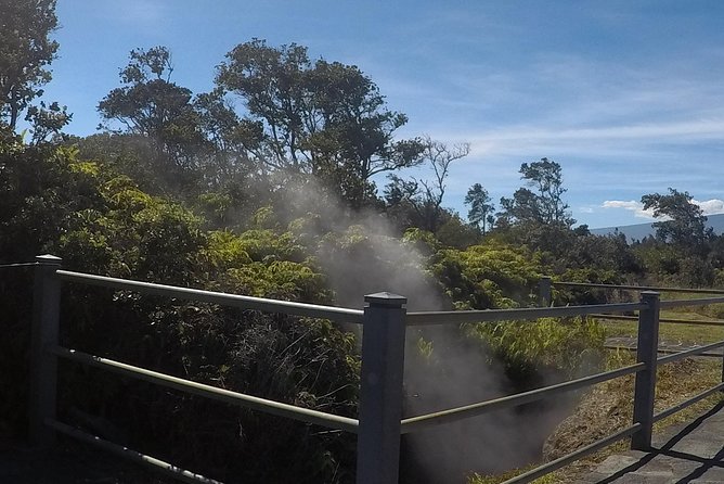 Hilo Shore Excursion: Volcanoes National Park & Black Sand Beach - Big Island Geology in One Smart Shore-Day Route
