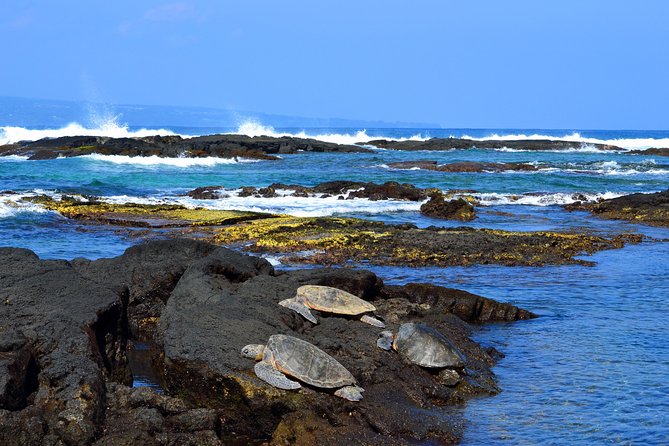 Hilo Shore Excursion: Volcanoes National Park & Black Sand Beach - Volcanoes National Park and Kīlauea: Where the Island Explains Itself
