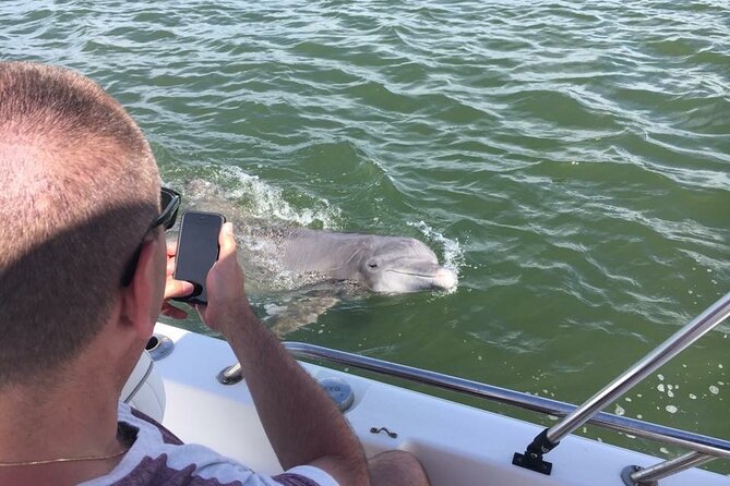 Hilton Head Island Dolphin Boat Cruise - Broad Creek ecology: birds, marsh life, and what you’re actually looking at