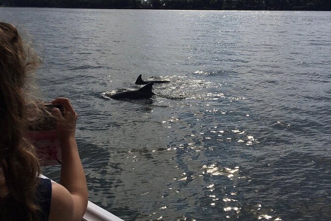 Hilton Head Island Dolphin Boat Cruise - Where the boat ride shines, and where it might not fit