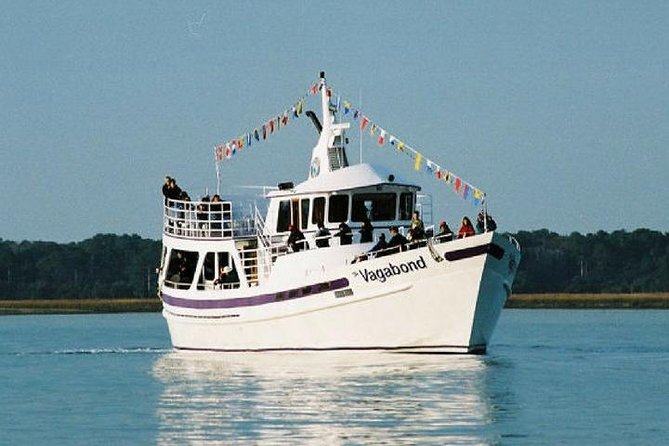 Hilton Head Island Ocean Dolphin Cruise - What the captain narration really does for your dolphin spotting