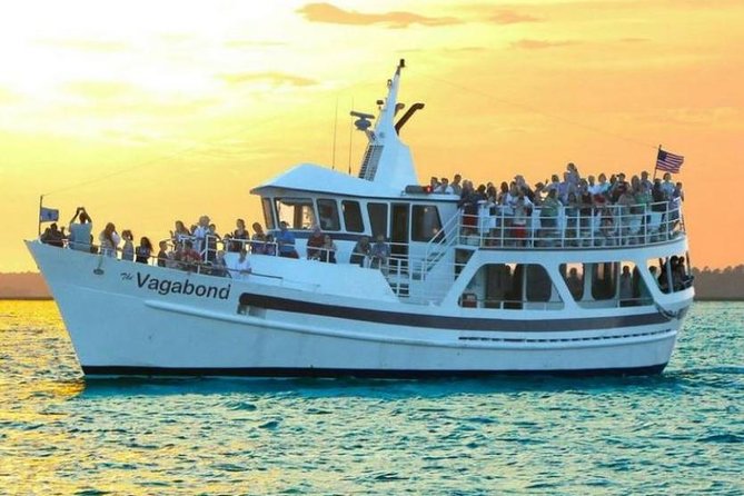 Hilton Head Island Ocean Dolphin Cruise - On-board comfort, drinks, and what to bring for a 90-minute ride