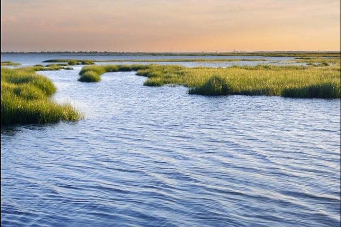 Hilton Head Island Ocean Dolphin Cruise - South Beach, Daufuskie Island, Bull Island, and the Haig Point Lighthouse