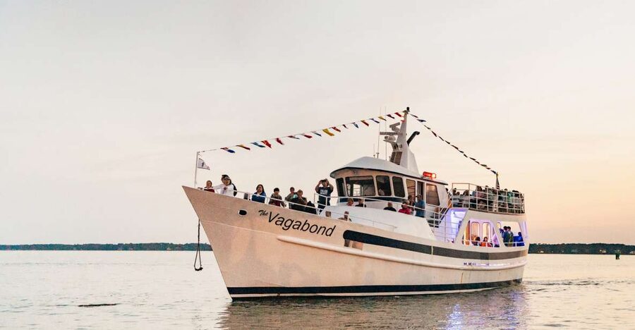 Hilton Head Island: Sunset Dolphin Cruise - Key Things You Should Know Before You Go