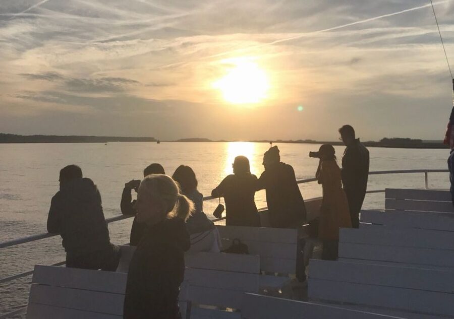 Hilton Head Island: Sunset Dolphin Cruise - The Big Idea: Why This Sunset Cruise Is a Smart Choice