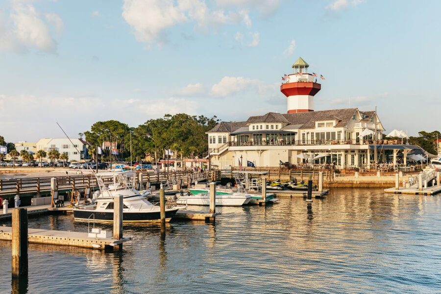 Hilton Head Island: Sunset Dolphin Cruise - The Main Act: The Open-Ocean Dolphin Search
