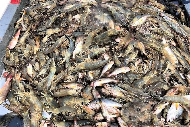 Hilton Head Shrimp Trawling Boat Cruise - Harbour Town Lighthouse: the setting before and after