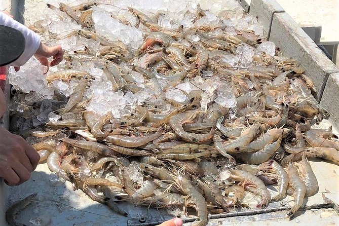 Hilton Head Shrimp Trawling Boat Cruise - Entering Sea Pines: the $9 per vehicle detail that matters