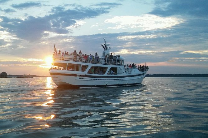 Hilton Head Sunset Dolphin Watching Cruise - Beyond Dolphins: Birds, Marsh Views, and That Lowcountry Rhythm