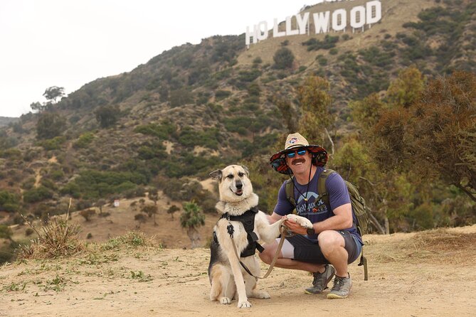 Hollywood Sign 2.5-Hour Tour with Comedians and Their Dogs - Meeting at 6301 Innsdale Trl, and why parking matters