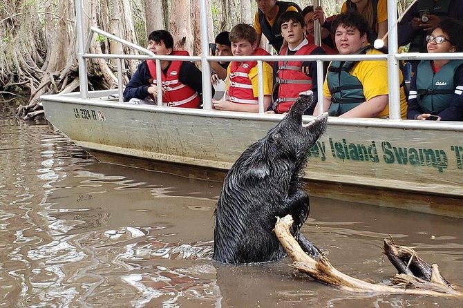 Honey Island Swamp Boat Tour - Should you book the Honey Island Swamp Boat Tour?