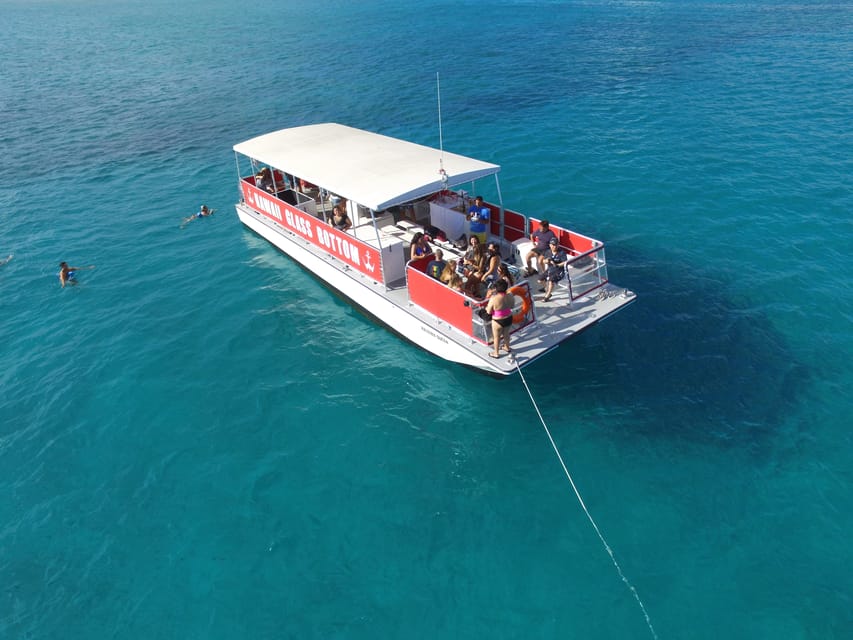 Honolulu: Glass Bottom Boat Tour along Oahu's South Shore - Wildlife Spotting: Turtles, Dolphins, Sharks, and Fish