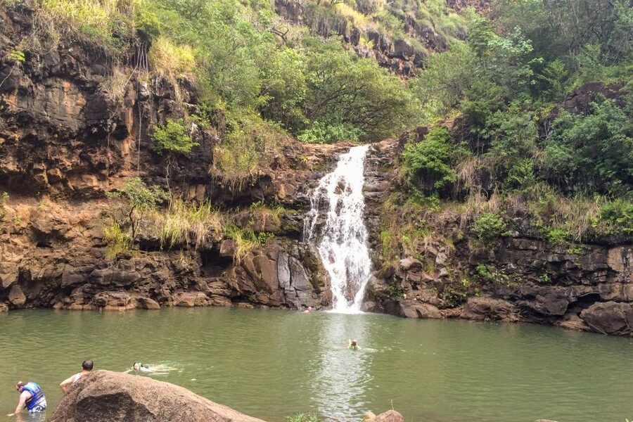 Honolulu: Oahu Island Full-Day Guided Tour by Bus with Lunch - Should you book this Honolulu Oahu full-day guided tour?