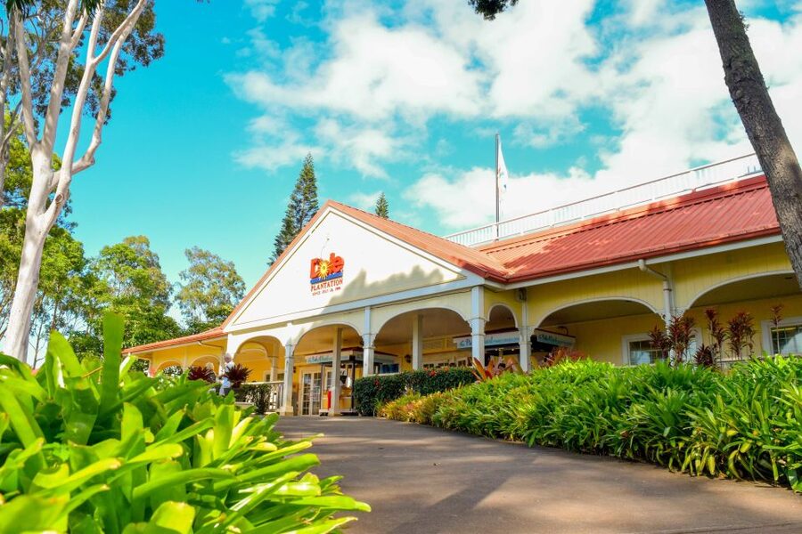 Honolulu: Oahu Island Full-Day Guided Tour by Bus with Lunch - Waimea Valley and Waimea Falls: the active stop that makes the day feel worth it