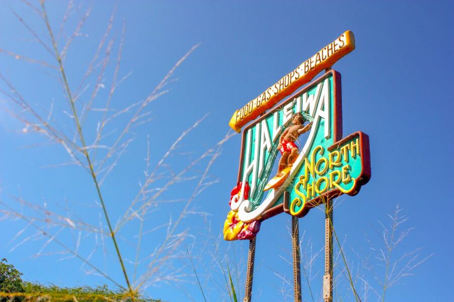 Honolulu: Oahu Island Full-Day Guided Tour by Bus with Lunch - Lunch and timing: how guides keep 9 hours from feeling like 9 hours of bus