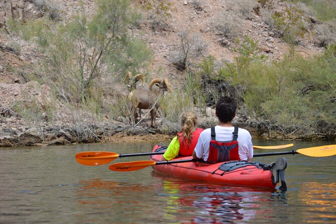 Hoover Dam & Hot Springs Kayak Tour with Lunch & Expert Guide - Hoover Dam Lodge Check-In: Start With Time to Spare