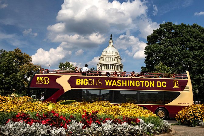Hop-on Hop-off Sightseeing Tour by Open-top Bus with 18 Stops - Riding open-top: views, audio, and the real pace of the day