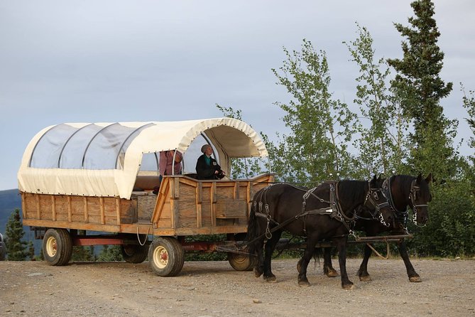 Horse-Drawn Covered Wagon Ride with Backcountry Dining - Cabin passes, mining-era stories, and the Denali boundary feeling