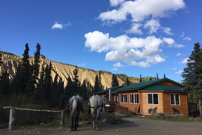 Horse-Drawn Covered Wagon Ride with Backcountry Dining - Who this tour fits best, and who should think twice