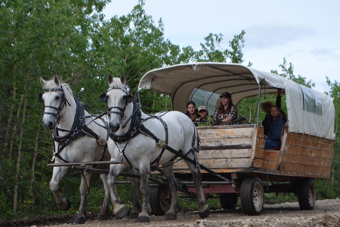 Horse-Drawn Covered Wagon Ride with Backcountry Dining - Should you book the horse-drawn wagon ride with backcountry dining?