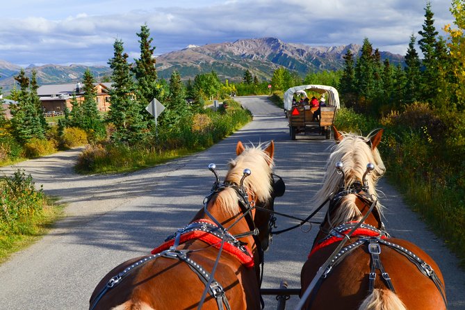 Horse-Drawn Covered Wagon Ride with Backcountry Dining - Backcountry pavilion dining: hearty family-style food and a more social pace