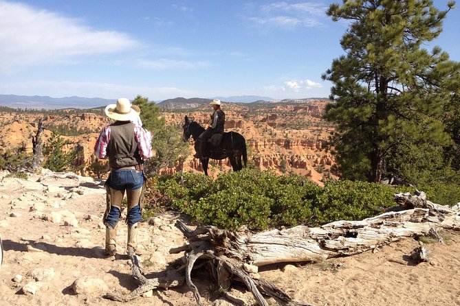 Horseback Riding Experience through Red Canyon with a Guide - Key things to know before you ride