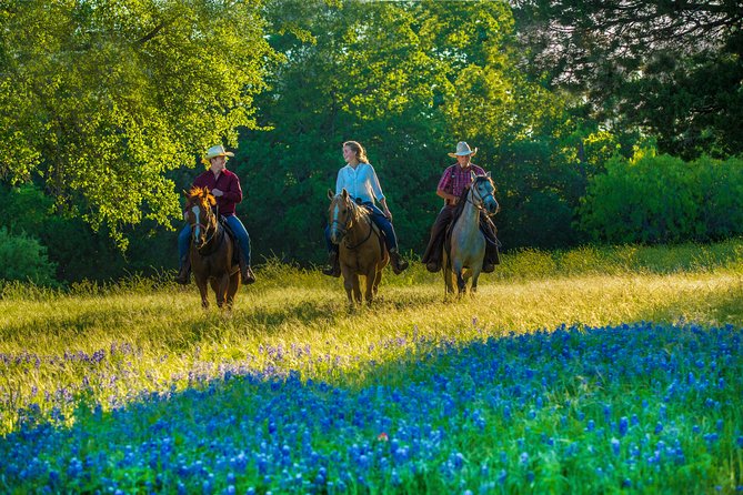 Horseback Riding on Scenic Texas Ranch near Waco - The Beginner-Friendly Lesson That Gets Everyone Moving