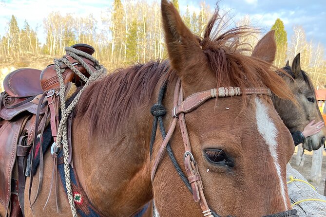 Horseback Riding with Grand Teton Views in Jackson Hole - Price and tipping: where the $135 goes and what you will likely pay extra