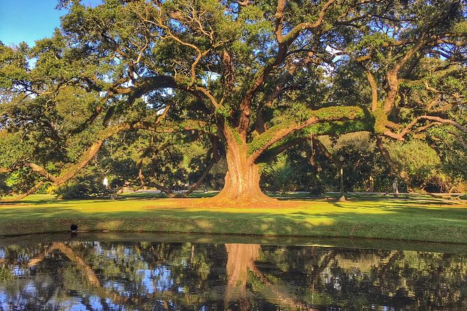Houmas House Estate and Gardens Guided Tour - The Sugar Palace nickname makes the whole place click