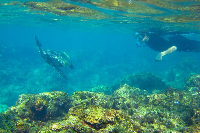 'Imiloa Express Nā Pali Snorkel Tour - Food and drinks: breakfast sandwiches, meal choices, and the timing of alcohol