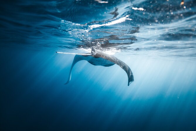 'Imiloa Express Nā Pali Snorkel Tour - When the ocean turns rough: seasickness and comfort tips that actually help
