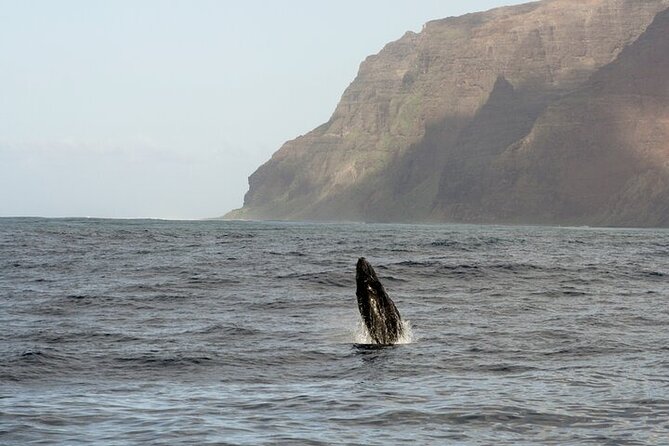 'Imiloa Express Whale Watch and Cocktail Tour - Who This Tour Fits Best (And Who Should Pass)