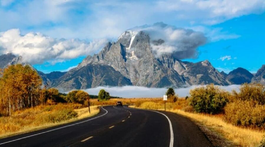 Jackson: Grand Teton National Park Guided Wildlife Tour - Spotting Gear: Binoculars and Scope Use That Improves Your Odds