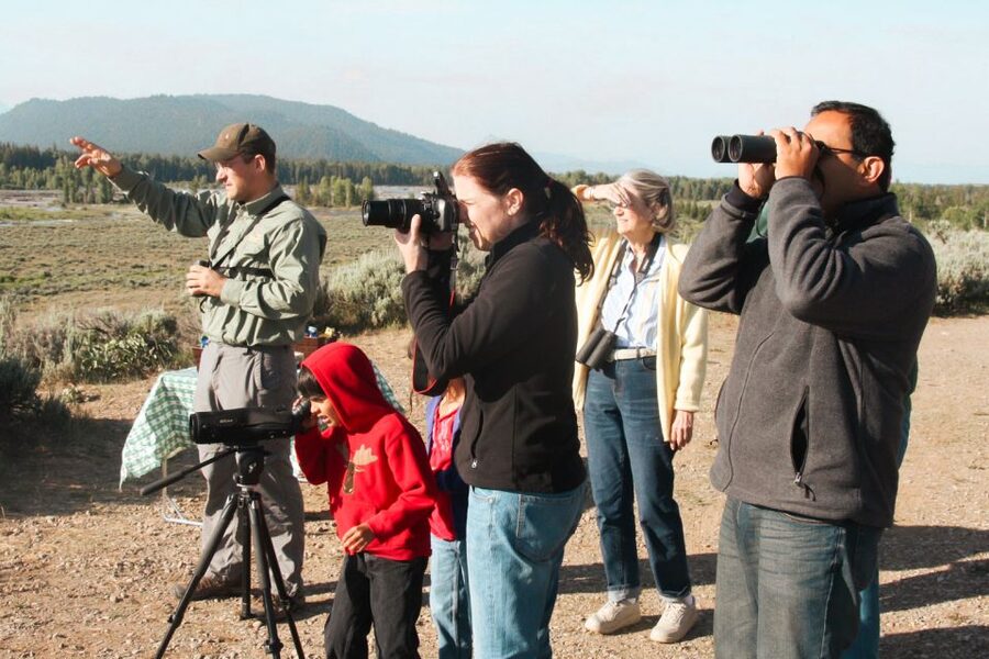 Jackson: Grand Teton National Park Guided Wildlife Tour - The Naturalist Guide Part: Ecology, Geology, and Animal Behavior