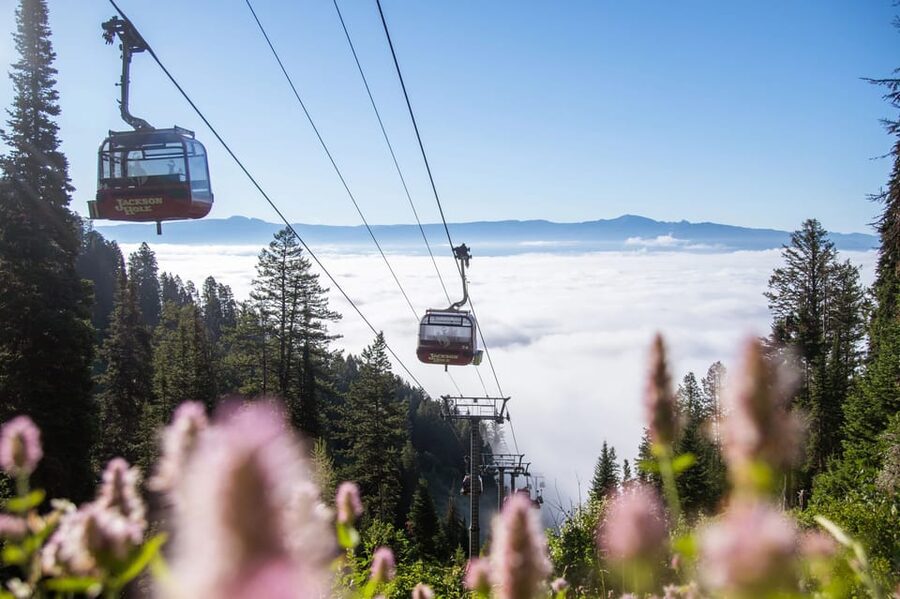 Jackson Hole: Aerial Tram and Gondolas Sightseeing - Trails from the summit: turn sightseeing into a real hike